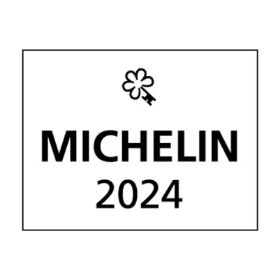 MICHELIN LOGO